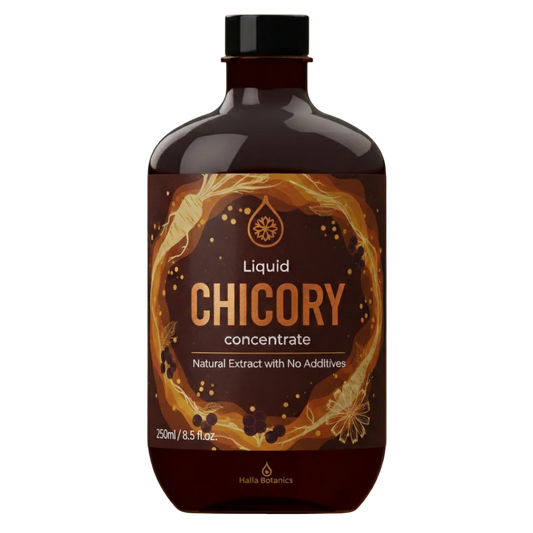 Chicory Concentrate Pure Extract